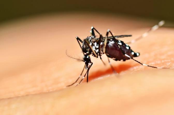 Kenali Gejala Demam Berdarah Dengue (DBD) Agar Anak-anak Terhindar Darinya