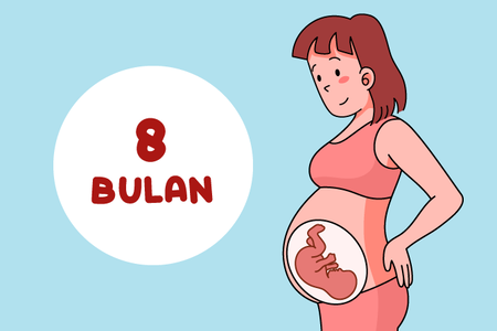 Gambar perut ibu hamil 8 bulan