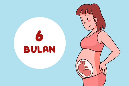 Gambar perut ibu hamil 6 bulan