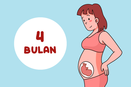 Gambar perut ibu hamil 4 bulan
