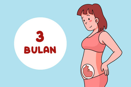 Gambar perut ibu hamil 3 bulan