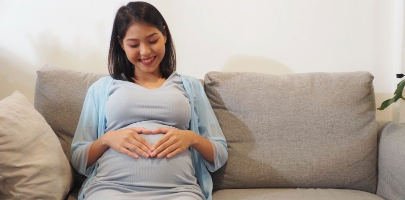 Gambar Perut Ibu Hamil 1-9 Bulan dan Video Perkembangan Janin Minggu ke Minggu