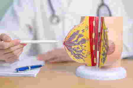 Gambar puting susu ketika hamil muda