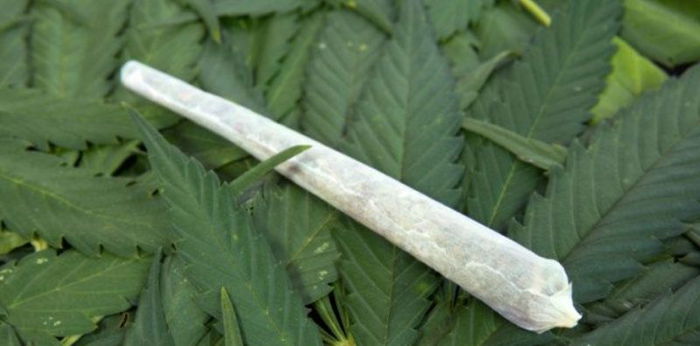 Polisi Thailand Ajak Anak SD Membakar 8 Ton Ganja Sitaan, Ini Alasannya