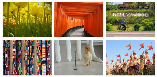 Mengagumkan! Inilah Hasil Karya Para Fotografer Cilik Pemenang Kontes Foto Internasional 2016