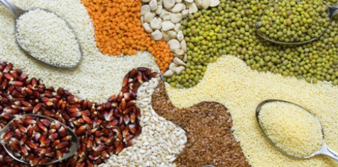 Perbanyak konsumsi gandum utuh untuk rahasia hidup sehat ala ahli gizi