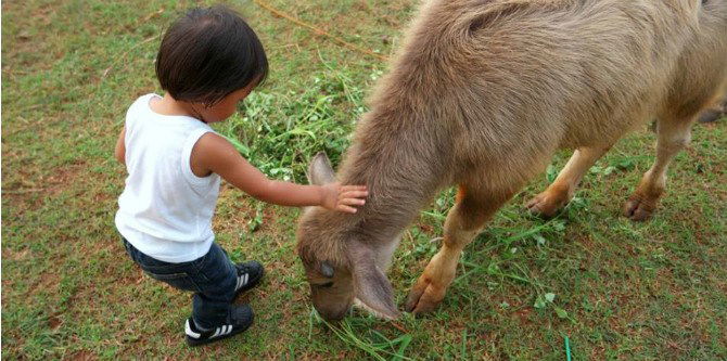 Mudik Tanpa Internet? Ini 5 Cara Jitu Menghibur Anak Agar Tak Ingat Gadget