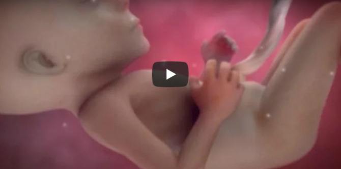 Proses Perkembangan Jenis Kelamin Bayi dalam Kandungan, Kapan Bisa Mulai Diketahui?