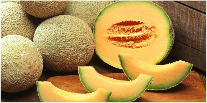 Hati-hati bakteri listeria dalam melon, 4 orang meninggal terjangkit listeriosis