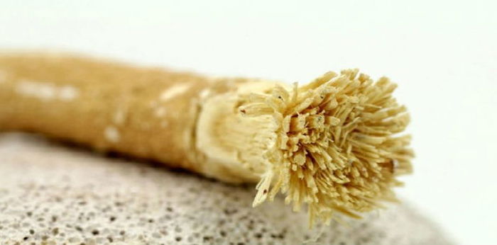 Kata Pakar tentang Pasta Gigi Bersiwak untuk Mengatasi Bau Mulut