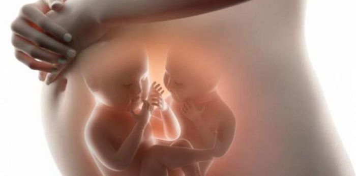 12 Ciri-Ciri Hamil Anak Kembar yang Harus Bunda Ketahui