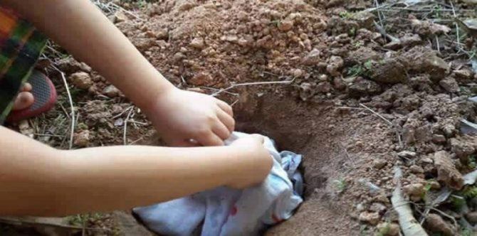 Cara mengubur ari-ari dengan benar, panduan bagi para Ayah