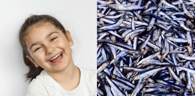 Ingin Otak Anak Menjadi Cerdas? Beri Ia Asupan Ikan Teri yang Kaya Gizi