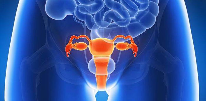 Kanker Serviks Mengancam Kesehatan Perempuan Indonesia, Waspadai 5 Faktor Risikonya!