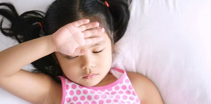 Waspadai perubahan jam aktif nyamuk DBD, kenali waktu-waktunya