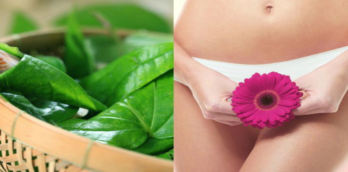 Membersihkan vagina dengan daun sirih, amankah? Ini penjelasannya