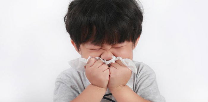 Rhinitis Alergi pada Anak, Kenali Penyebab, Gejala dan Cara Mencegahnya