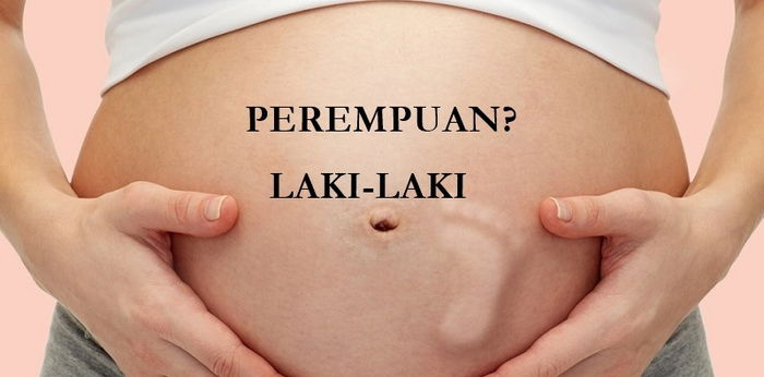 Kapan Jenis Kelamin Janin Terbentuk dan Bisa Diketahui? Ini Penjelasannya