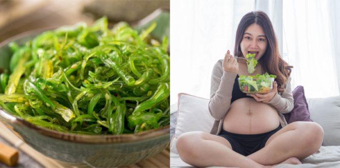 Rumput laut untuk ibu hamil? Cek dulu manfaat serta risiko sebelum mengonsumsinya