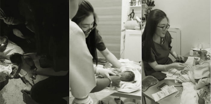 Viral! Video detik-detik dokter hewan bantu ibu melahirkan di pinggir jalan