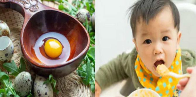Kaya nutrisi, ini 7 resep pilihan MPASI telur puyuh yang bisa Parents coba