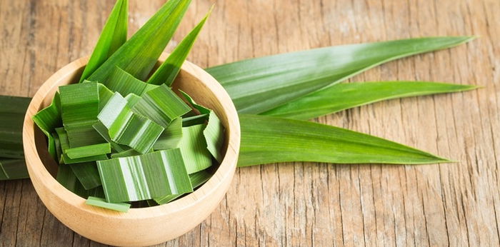 Turunkan diabetes hingga cegah kanker, ini 9 manfaat daun pandan!