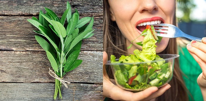 7 Manfaat Daun Sage, Obati Diare hingga Mencegah Penyakit Alzheimer