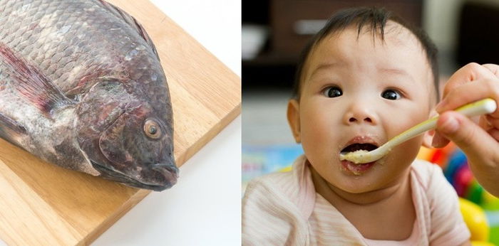 Ikan tilapia kaya nutrisi, amankah untuk dikonsumsi oleh anak?