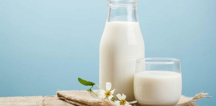 Susu Biasa VS Susu Organik, Mana yang Lebih Baik?