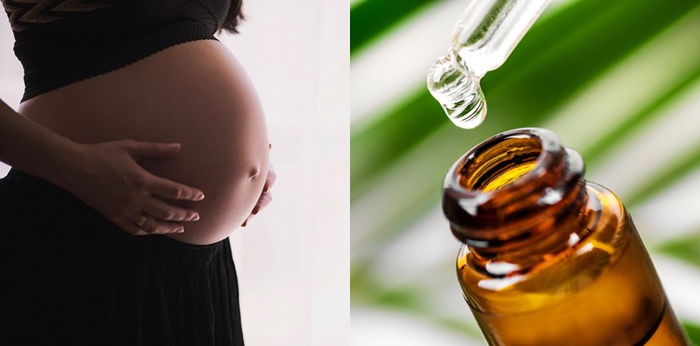 Ibu Hamil Pakai Minyak Kayu Putih Amankah untuk Janin?