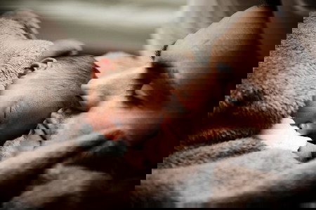 peran ayah dalam perkembangan anak