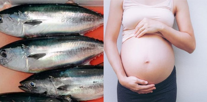 Ikan Tongkol untuk Ibu Hamil, Bermanfaat atau Justru Berbahaya?