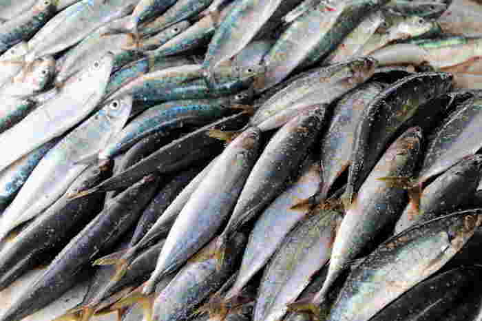 ikan kembung bagi ibu hamil