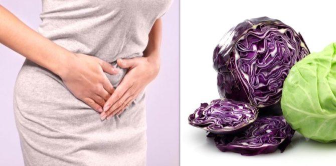 Ketahui 5 Manfaat Kol Ungu untuk Kesehatan, Bisa Mencegah Kanker Usus