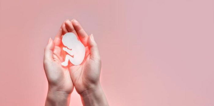 Hydrops Fetalis: Pengertian, Penyebab, Cara Mencegah dan Mengatasinya