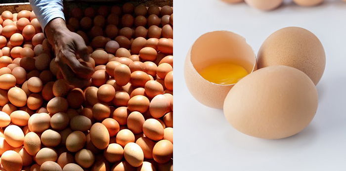 Dapat Berbahaya Jika Dikonsumsi, Inilah Ciri-ciri Telur Infertil yang Beredar di Masyarakat!