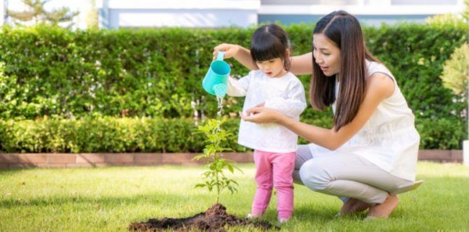 7 Tips Ini Buat Berkebun Bersama Anak Jadi Lebih Menyenangkan, Lho!
