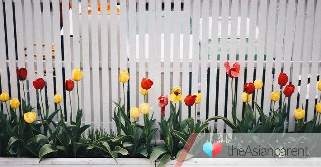 6 Inspirasi Pagar Rumah Minimalis: Kayu, Baja Ringan Hingga Tanaman