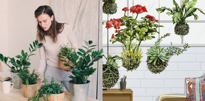 Hemat Tempat dan Menyegarkan Mata, Begini Tutorial Membuat Tanaman Hias Kokedama