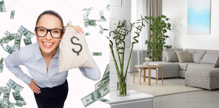 11 Jenis Tanaman Hias yang Datangkan Hoki Bagi Pemiliknya, Parents Pilih Mana?