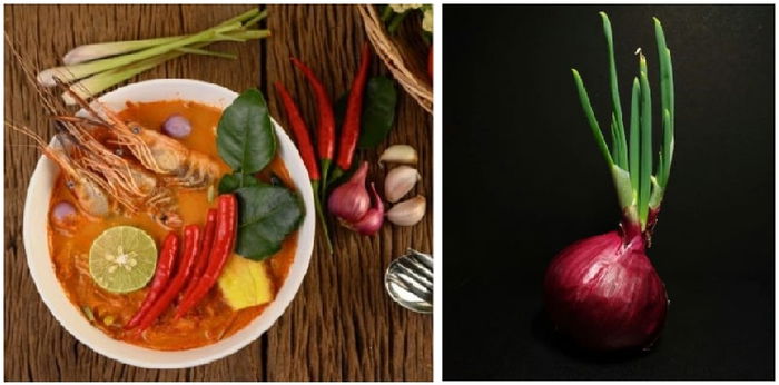 9 Cara Menanam Bawang Merah di Rumah, Mudah dan Bikin Irit!