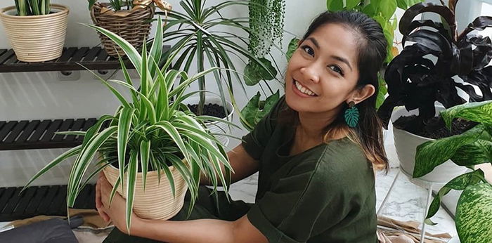 11 Cara Merawat Tanaman Hias untuk Pemula, Bikin Tanaman Tumbuh Subur