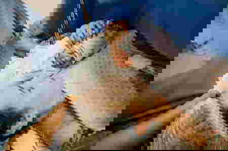 melahirkan normal vs caesar