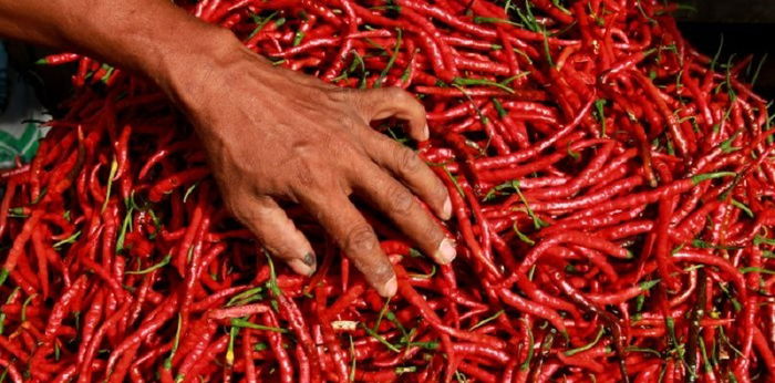 10 Cara Menghilangkan Pedas Cabai di Tangan, Bisa Pakai Alkohol
