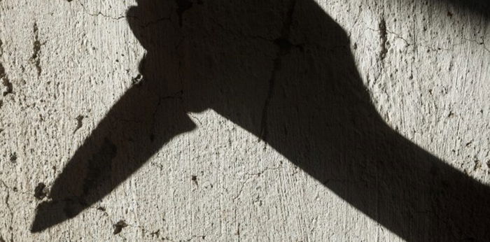 Cekcok soal Bangkai Ayam, Pria Ini Bacok Istri dan Anak Tetangga