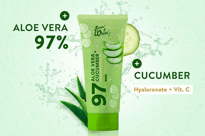 rekomendasi aloe vera lokal terbaik
