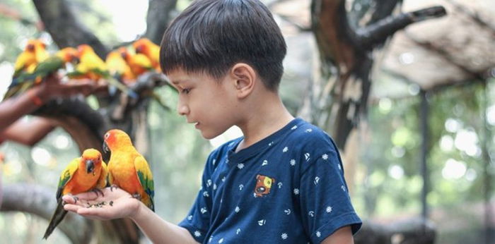 10 Jenis Burung Khas Indonesia Nyaris Punah, Yuk Ajari Si Kecil!
