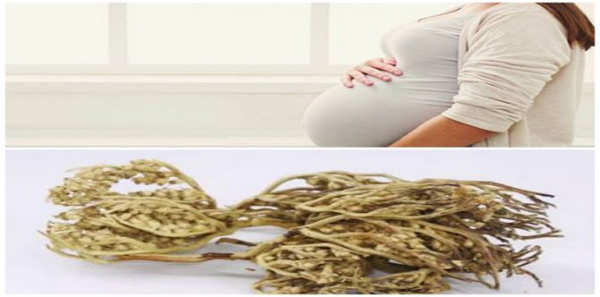 Viral Konsumsi Rumput Fatimah Menyebabkan Janin Meninggal, Ini 3 Faktanya!