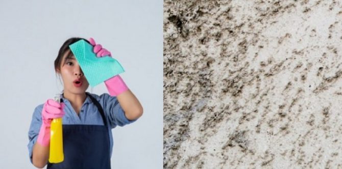 7 Tips Mengatasi Dinding Rumah Lembap dan Berjamur yang Sering Membuat Tidak Nyaman