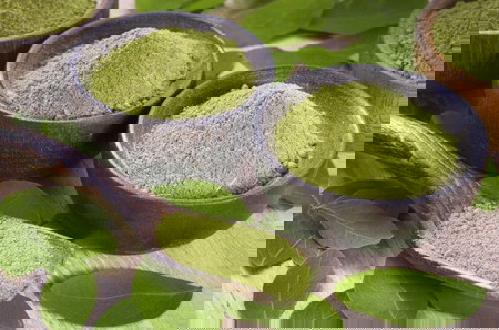 7 Khasiat Daun Kelor untuk Wajah, Hempas Jerawat Hingga Bikin Awet Muda